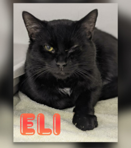 Eli