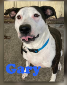 Gary