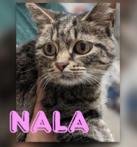 Nala
